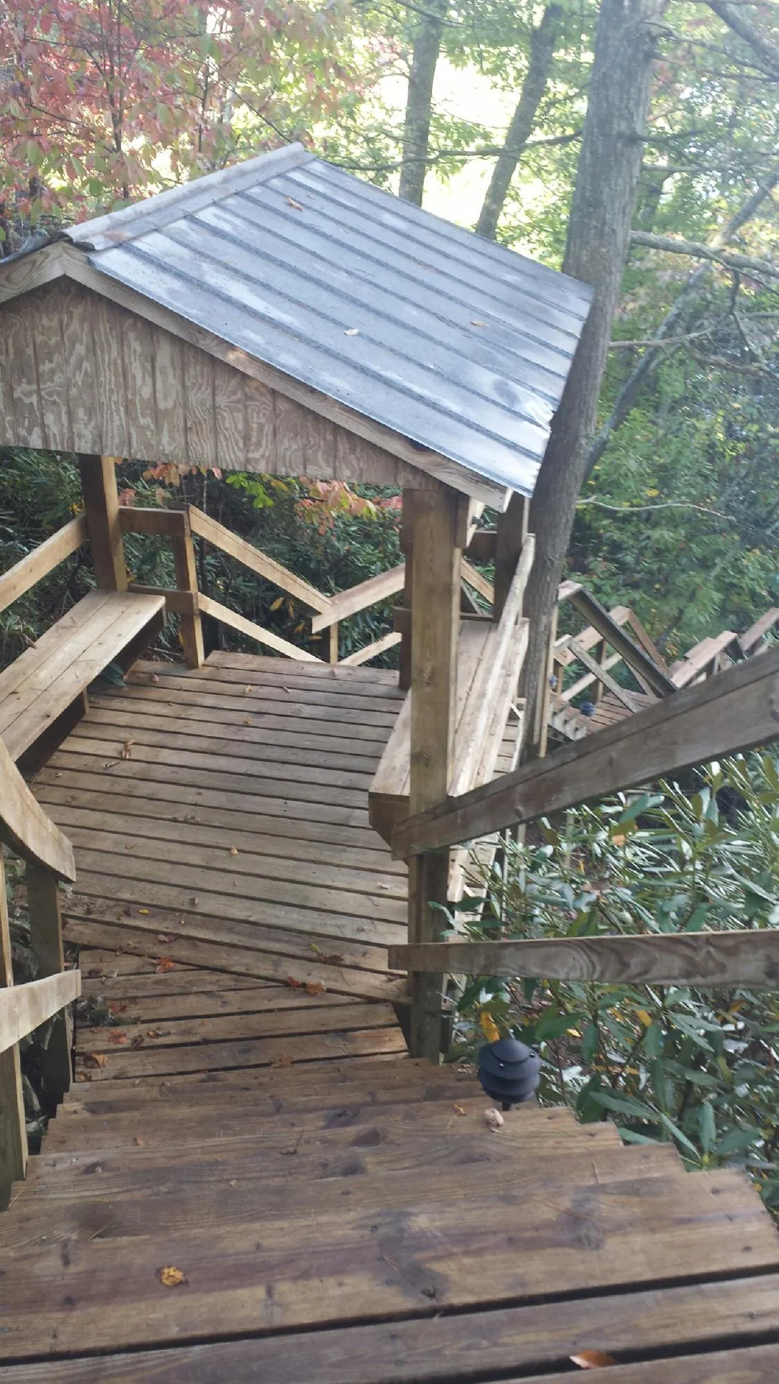Metal roofed shelter over wooden steps on a wooded walkway — Skylight Repair & Installation work by our crew in Ray